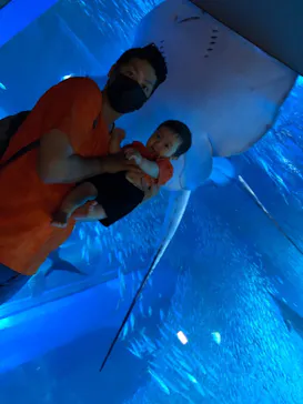 横浜・八景島シーパラダイスに投稿された画像（2021/6/6）