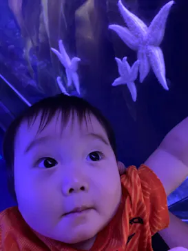 横浜・八景島シーパラダイスに投稿された画像（2021/6/6）