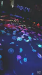 すみだ水族館に投稿された画像（2021/6/6）