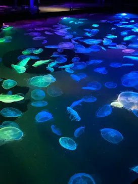 すみだ水族館に投稿された画像（2021/6/6）