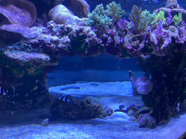 すみだ水族館に投稿された画像（2021/6/6）