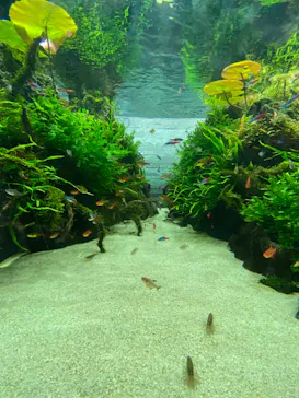 すみだ水族館に投稿された画像（2021/6/6）