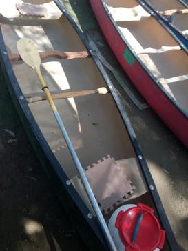 カヌーリゾートたまよどに投稿された画像（2021/6/6）