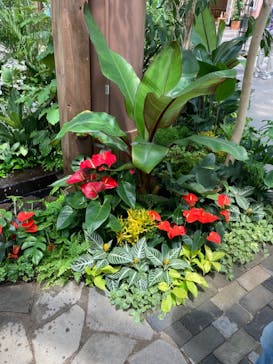 安城産業文化公園デンパークに投稿された画像（2021/6/6）