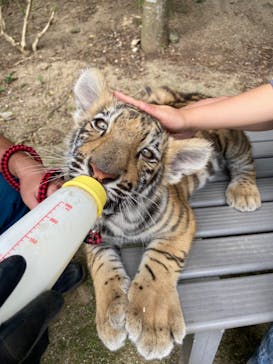 しろとり動物園に投稿された画像（2021/6/6）