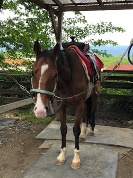 阿蘇カドリー・ドミニオンに投稿された画像（2021/6/6）