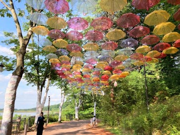 PANZA宮沢湖（パンザミヤザワコ）に投稿された画像（2021/6/6）