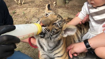 しろとり動物園に投稿された画像（2021/6/6）