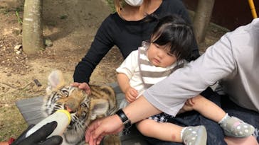 しろとり動物園に投稿された画像（2021/6/6）