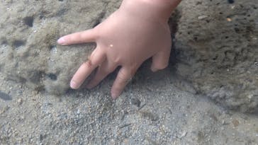 串本海中公園水族館に投稿された画像（2021/6/6）