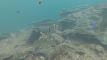 串本海中公園水族館に投稿された画像（2021/6/6）