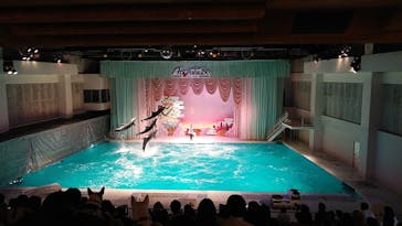 京急油壺マリンパークに投稿された画像（2021/6/6）