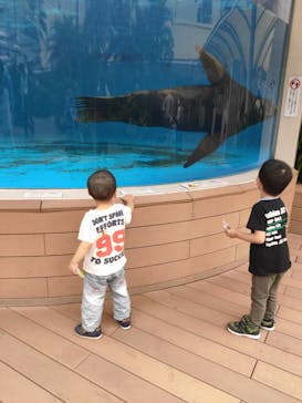 サンシャイン水族館に投稿された画像（2021/6/6）