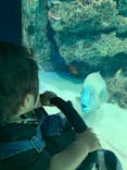 サンシャイン水族館に投稿された画像（2021/6/7）