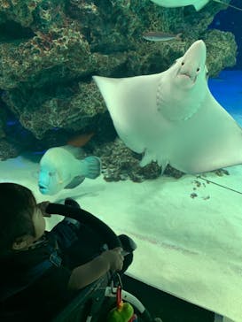 サンシャイン水族館に投稿された画像（2021/6/6）