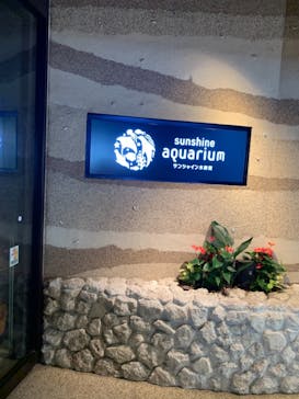 サンシャイン水族館に投稿された画像（2021/6/6）