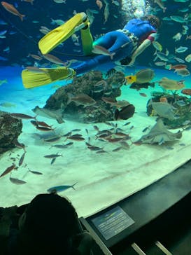サンシャイン水族館に投稿された画像（2021/6/6）