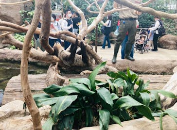 神戸どうぶつ王国に投稿された画像（2021/6/6）