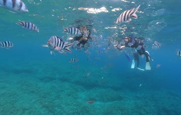 DIVING-SHOP SUNSに投稿された画像（2021/6/7）