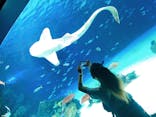 サンシャイン水族館に投稿された画像（2021/6/7）