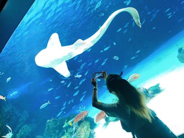 サンシャイン水族館に投稿された画像（2021/6/7）