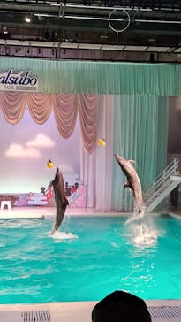 京急油壺マリンパークに投稿された画像（2021/6/7）