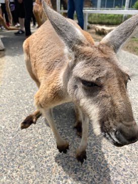 神戸どうぶつ王国に投稿された画像（2021/6/7）
