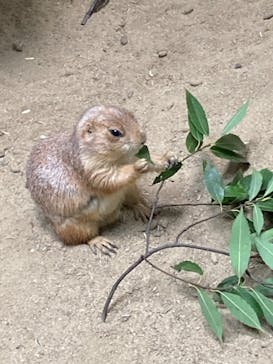 神戸どうぶつ王国に投稿された画像（2021/6/7）