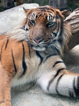 神戸どうぶつ王国に投稿された画像（2021/6/7）