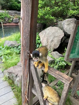 伊豆シャボテン動物公園に投稿された画像（2021/6/7）