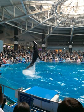 マクセル アクアパーク品川に投稿された画像（2021/6/7）