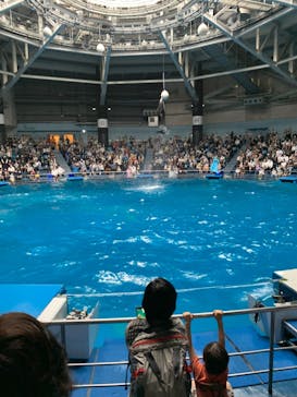 マクセル アクアパーク品川に投稿された画像（2021/6/7）