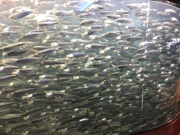 株式会社Gに投稿された画像（2021/6/7）