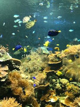 株式会社Gに投稿された画像（2021/6/7）