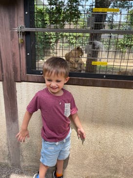 群馬サファリパークに投稿された画像（2021/6/7）