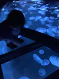 すみだ水族館に投稿された画像（2021/6/7）