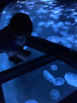 すみだ水族館に投稿された画像（2021/6/7）
