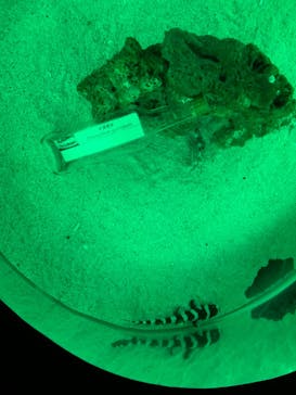 マクセル アクアパーク品川に投稿された画像（2021/6/7）