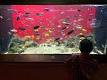 カワスイ 川崎⽔族館に投稿された画像（2021/6/7）