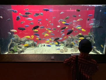 カワスイ 川崎⽔族館に投稿された画像（2021/6/7）