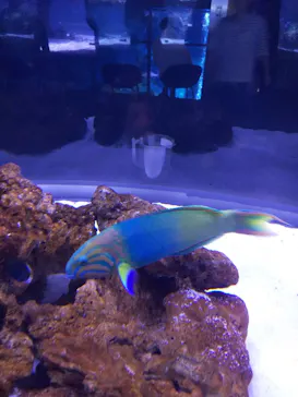 すみだ水族館に投稿された画像（2021/6/7）