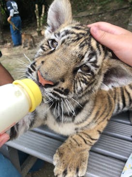 しろとり動物園に投稿された画像（2021/6/7）