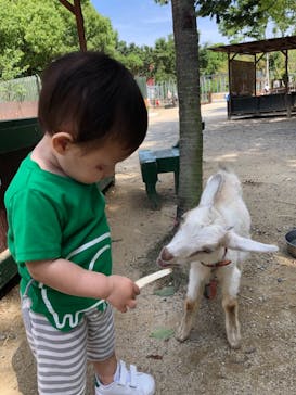 しろとり動物園に投稿された画像（2021/6/7）