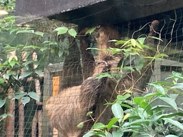 カワスイ 川崎⽔族館に投稿された画像（2021/6/7）