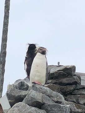 京急油壺マリンパークに投稿された画像（2021/6/7）