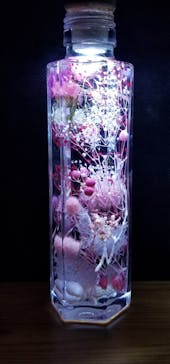 ずこうしつ〜sugamo〜に投稿された画像（2021/6/7）