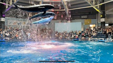 マクセル アクアパーク品川に投稿された画像（2021/6/8）