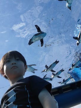 サンシャイン水族館に投稿された画像（2021/6/8）