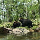 サホロリゾート　ベア･マウンテンに投稿された画像（2021/6/8）