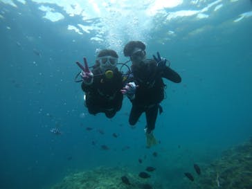 武藤潜水に投稿された画像（2021/6/8）